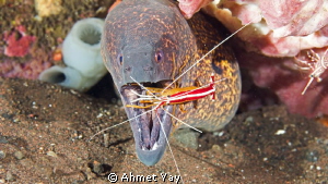 Dentist...
Canon 600 D 1/125 f:10 by Ahmet Yay 